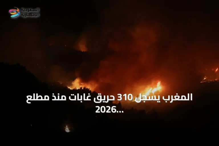 المغرب يسجل 310 حريق غابات منذ مطلع 2026 مع تراجع المساحات المتضررة رغم ازدياد العدد