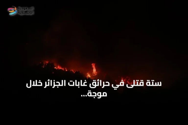ستة قتلى في حرائق غابات الجزائر خلال موجة حرارة قياسية