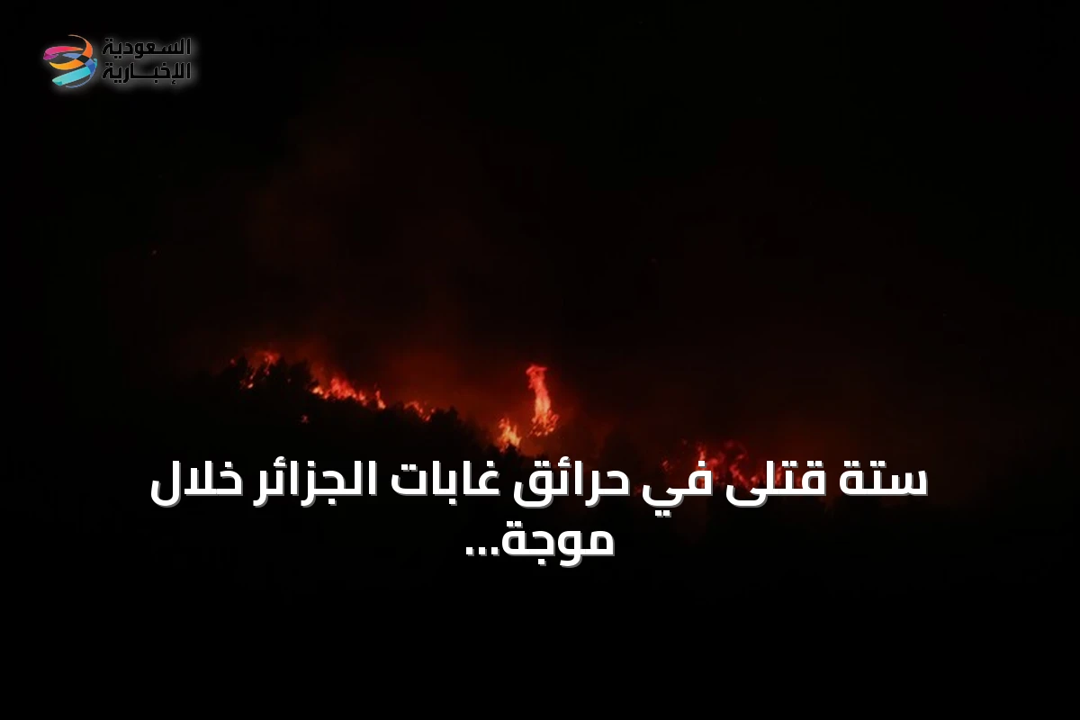 ستة قتلى في حرائق غابات الجزائر خلال موجة حرارة قياسية