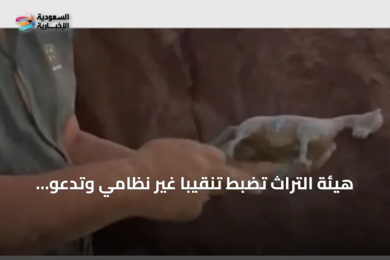هيئة التراث تضبط تنقيباً غير نظامي وتدعو للإبلاغ عن المخالفات