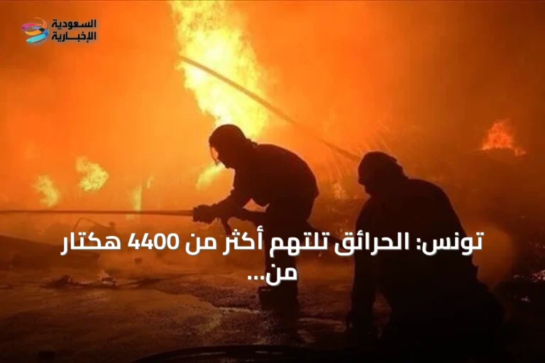 تونس: الحرائق تلتهم أكثر من 4400 هكتار من الغابات منذ مايو