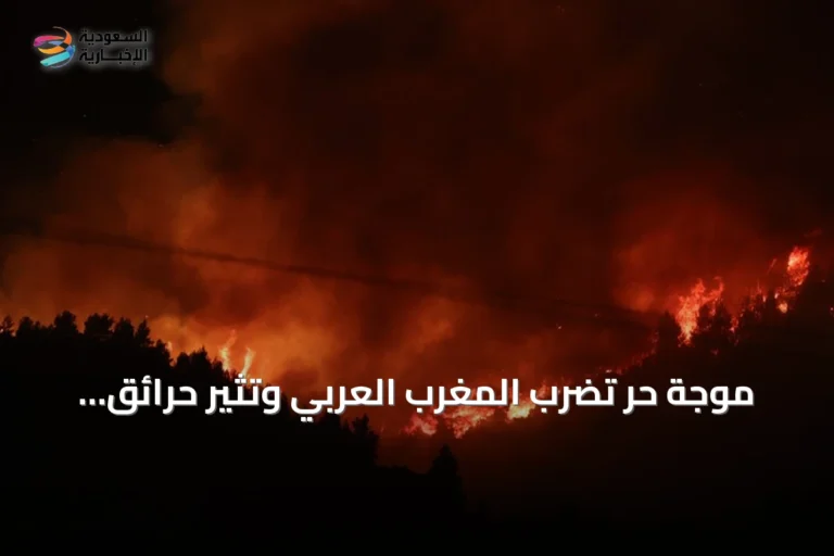 موجة حر تضرب المغرب العربي وتثير حرائق غابية واسعة تستدعي تدابير طارئة