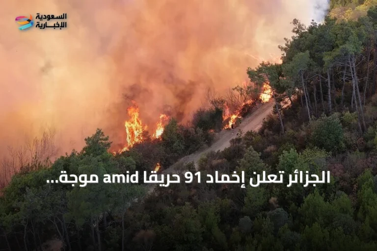 الجزائر تُعلن إخماد 91 حريقاً amid موجة حر قياسية وارتفاع عدد الوفيات