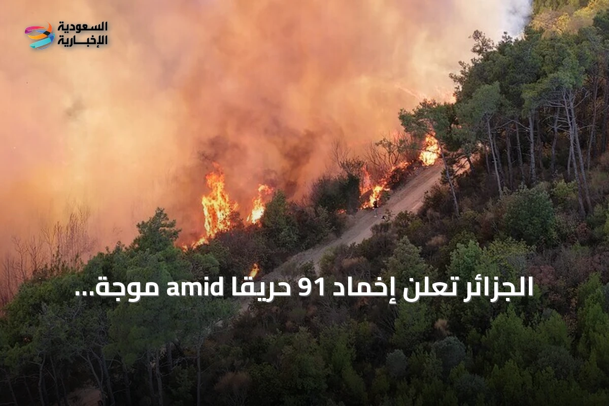 الجزائر تُعلن إخماد 91 حريقاً amid موجة حر قياسية وارتفاع عدد الوفيات