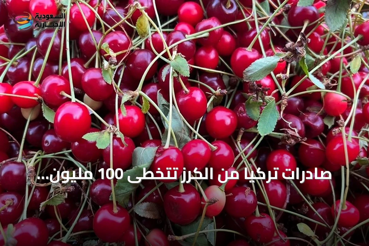 صادرات تركيا من الكرز تتخطى 100 مليون دولار في ستة أشهر