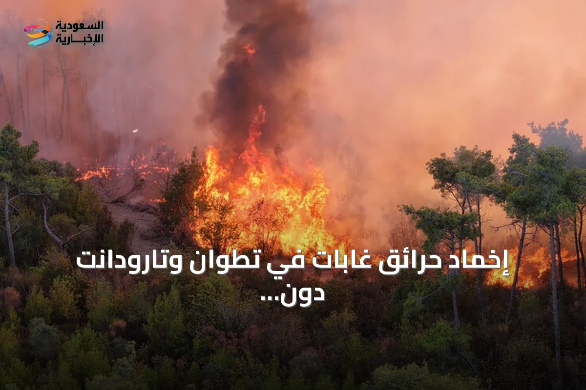 إخماد حرائق غابات في تطوان وتارودانت دون إصابات بشرية