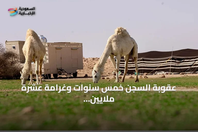 عقوبة السجن خمس سنوات وغرامة عشرة ملايين ريال لإيذاء الثروة الحيوانية