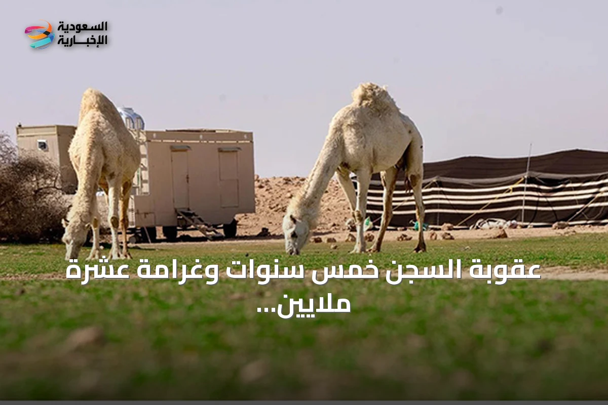 عقوبة السجن خمس سنوات وغرامة عشرة ملايين ريال لإيذاء الثروة الحيوانية