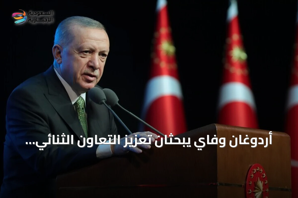أردوغان وفاي يبحثان تعزيز التعاون الثنائي في المجالات التجارية والاستثمارية والدفاعية