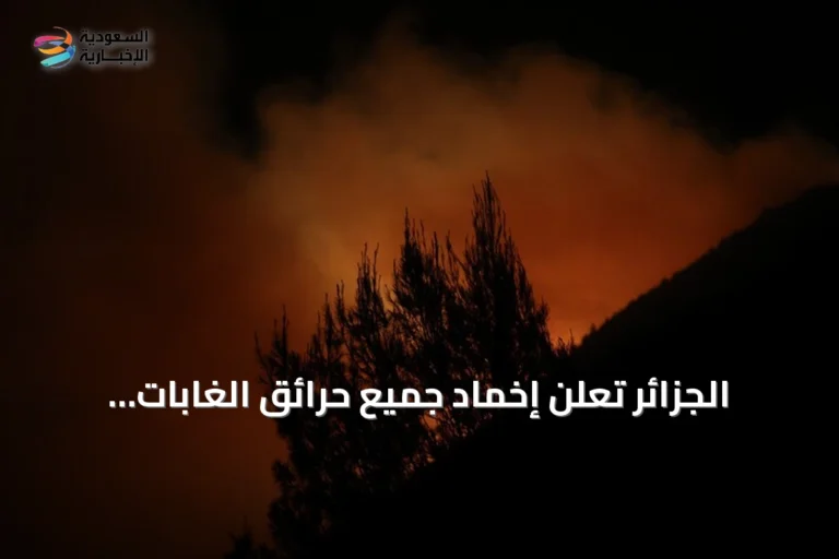 الجزائر تعلن إخماد جميع حرائق الغابات وتحافظ على جاهزية فرقها