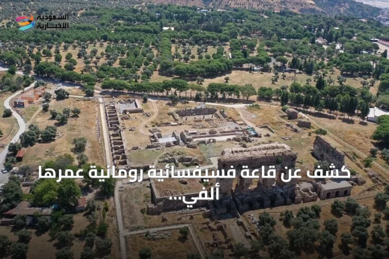 كشف عن قاعة فسيفسائية رومانية عمرها ألفي عام في مدينة تراليس التركية