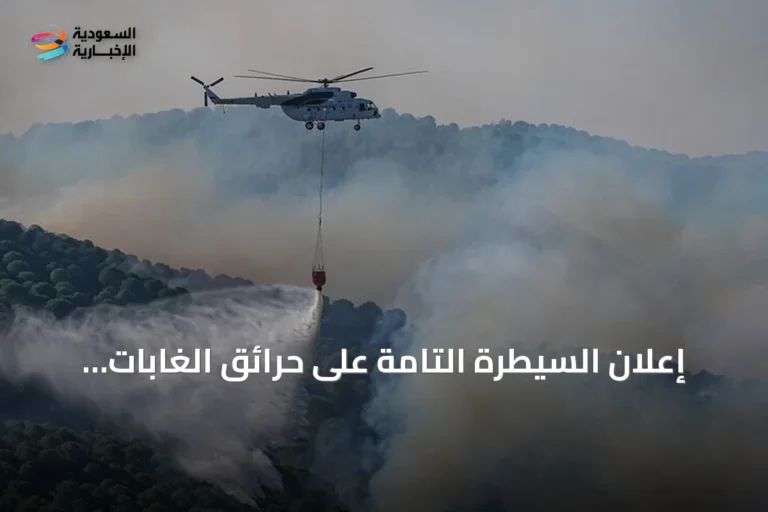 إعلان السيطرة التامة على حرائق الغابات بثلاث ولايات تركية