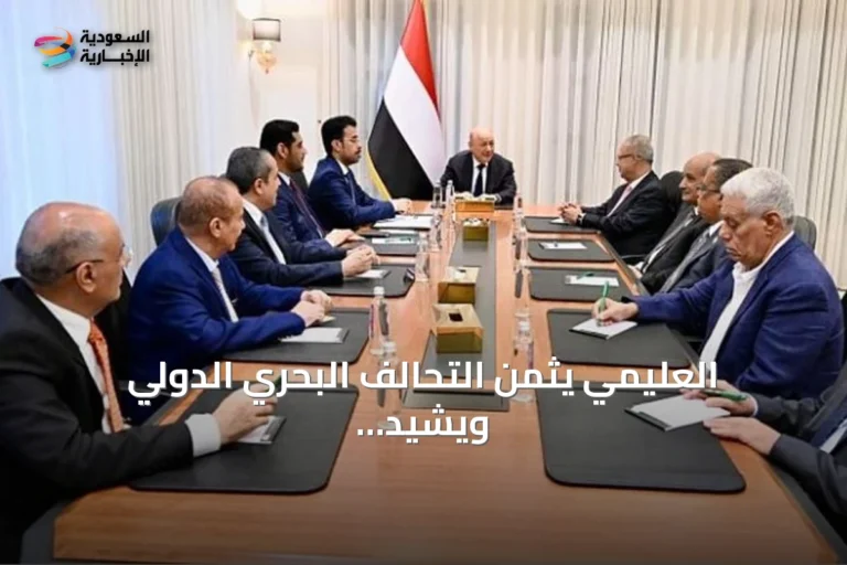 العليمي يثمّن التحالف البحري الدولي ويشيد بالدعم السعودي للدولة اليمنية