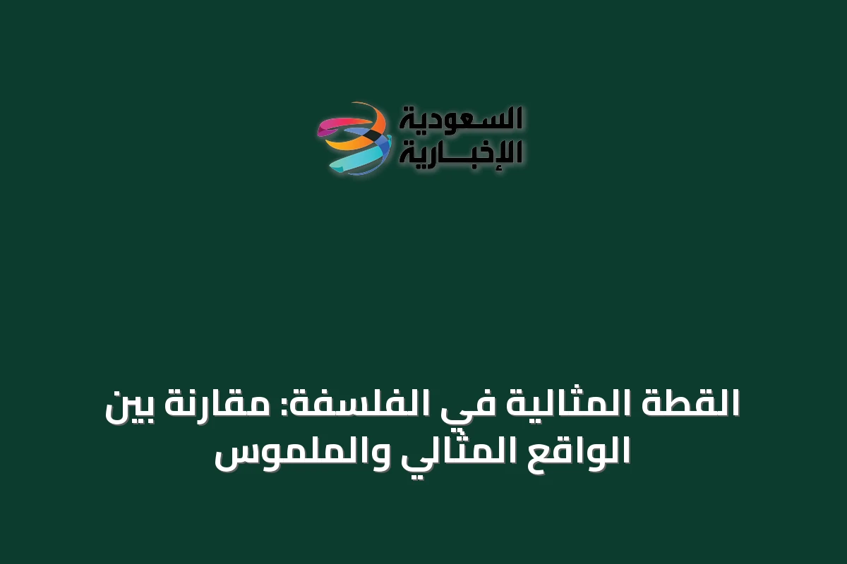 القطة المثالية في الفلسفة: مقارنة بين الواقع المثالي والملموس