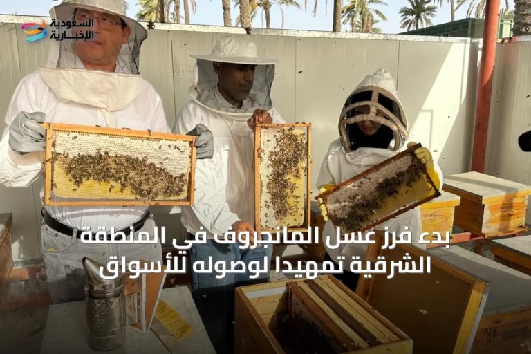 بدء فرز عسل المانجروف في المنطقة الشرقية تمهيداً لوصوله للأسواق