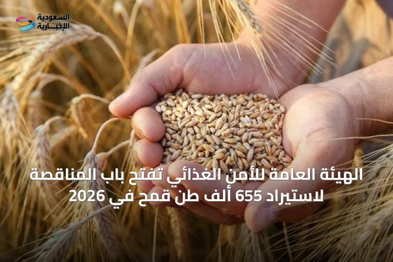 الهيئة العامة للأمن الغذائي تفتح باب المناقصة لاستيراد 655 ألف طن قمح في 2026