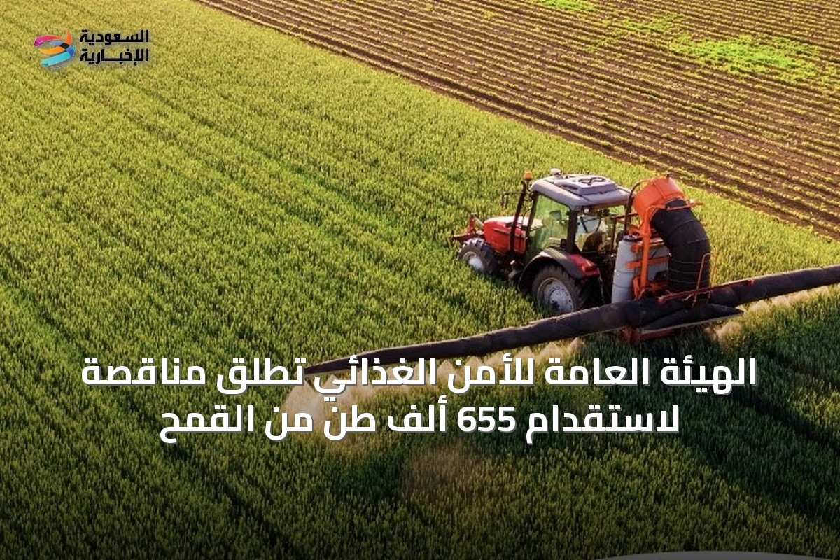 الهيئة العامة للأمن الغذائي تطلق مناقصة لاستقدام 655 ألف طن من القمح