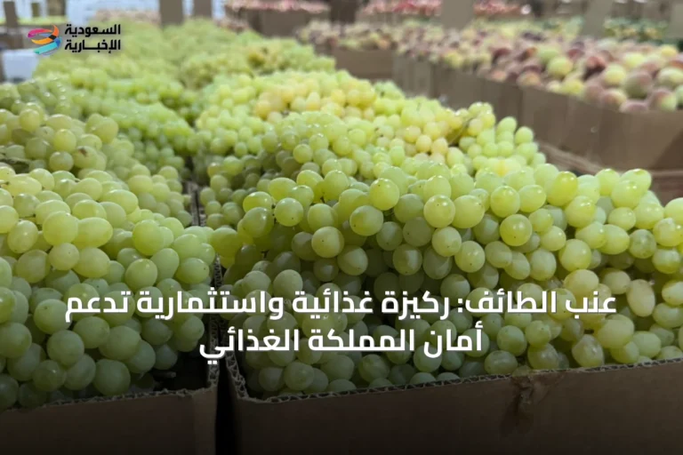 عنب الطائف: ركيزة غذائية واستثمارية تدعم أمان المملكة الغذائي