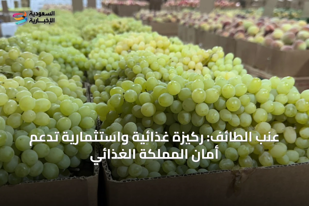 عنب الطائف: ركيزة غذائية واستثمارية تدعم أمان المملكة الغذائي