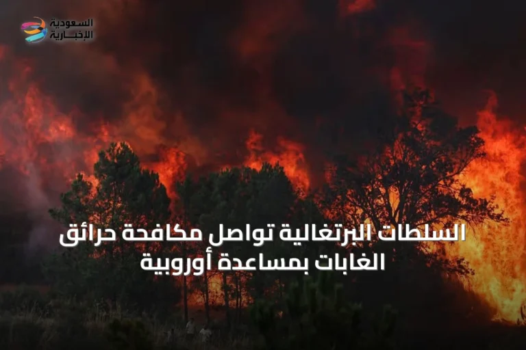السلطات البرتغالية تواصل مكافحة حرائق الغابات بمساعدة أوروبية