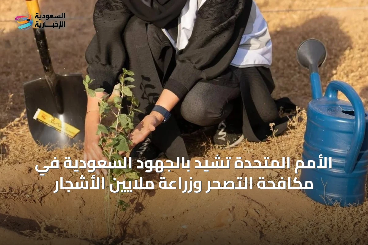 الأمم المتحدة تشيد بالجهود السعودية في مكافحة التصحر وزراعة ملايين الأشجار
