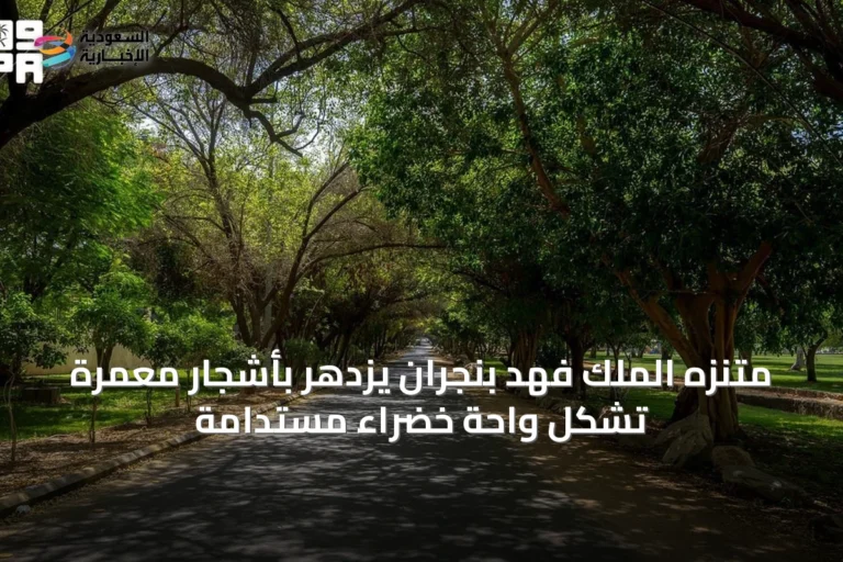 متنزه الملك فهد بنجران يزدهر بأشجارٍ معمرة تُشكّل واحة خضراء مستدامة