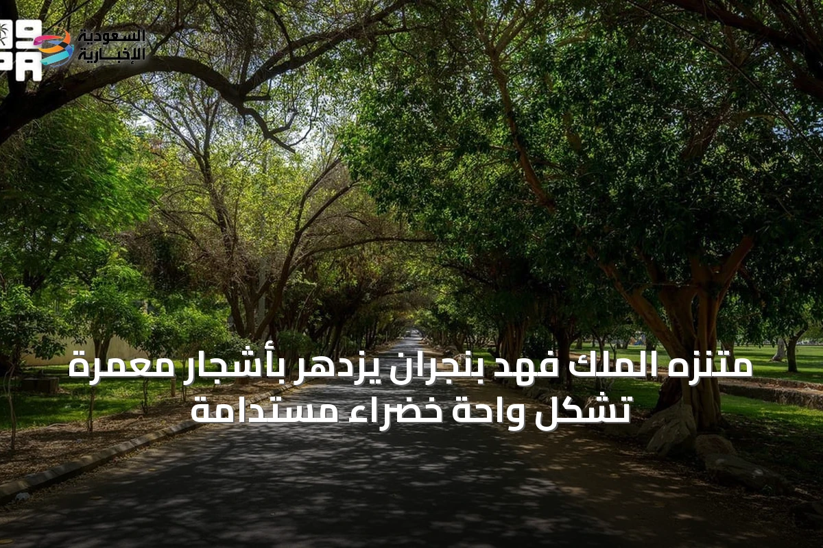 متنزه الملك فهد بنجران يزدهر بأشجارٍ معمرة تُشكّل واحة خضراء مستدامة
