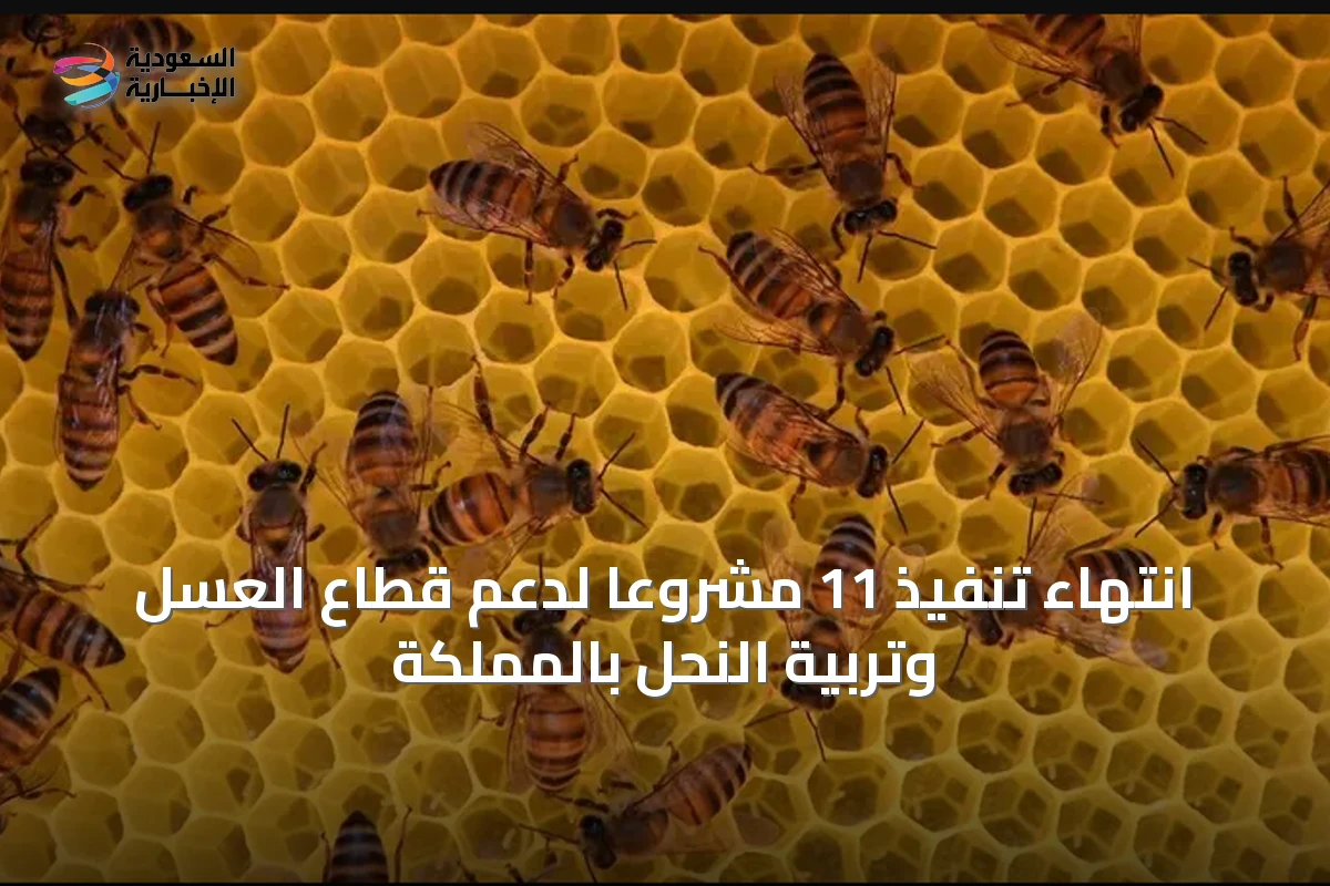 انتهاء تنفيذ 11 مشروعًا لدعم قطاع العسل وتربية النحل بالمملكة