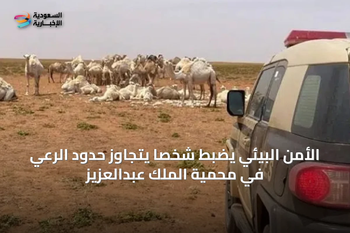 الأمن البيئي يضبط شخصًا يتجاوز حدود الرعي في محمية الملك عبدالعزيز
