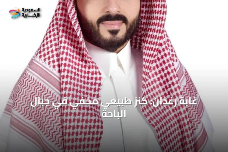غابة رغدان: كنز طبيعي مخفي في جبال الباحة