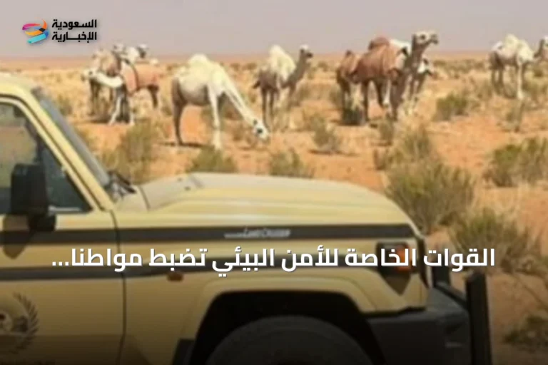 القوات الخاصة للأمن البيئي تضبط مواطنًا يرعى 15 رأسًا من الإبل في محمية الإمام تركي بن عبدالله