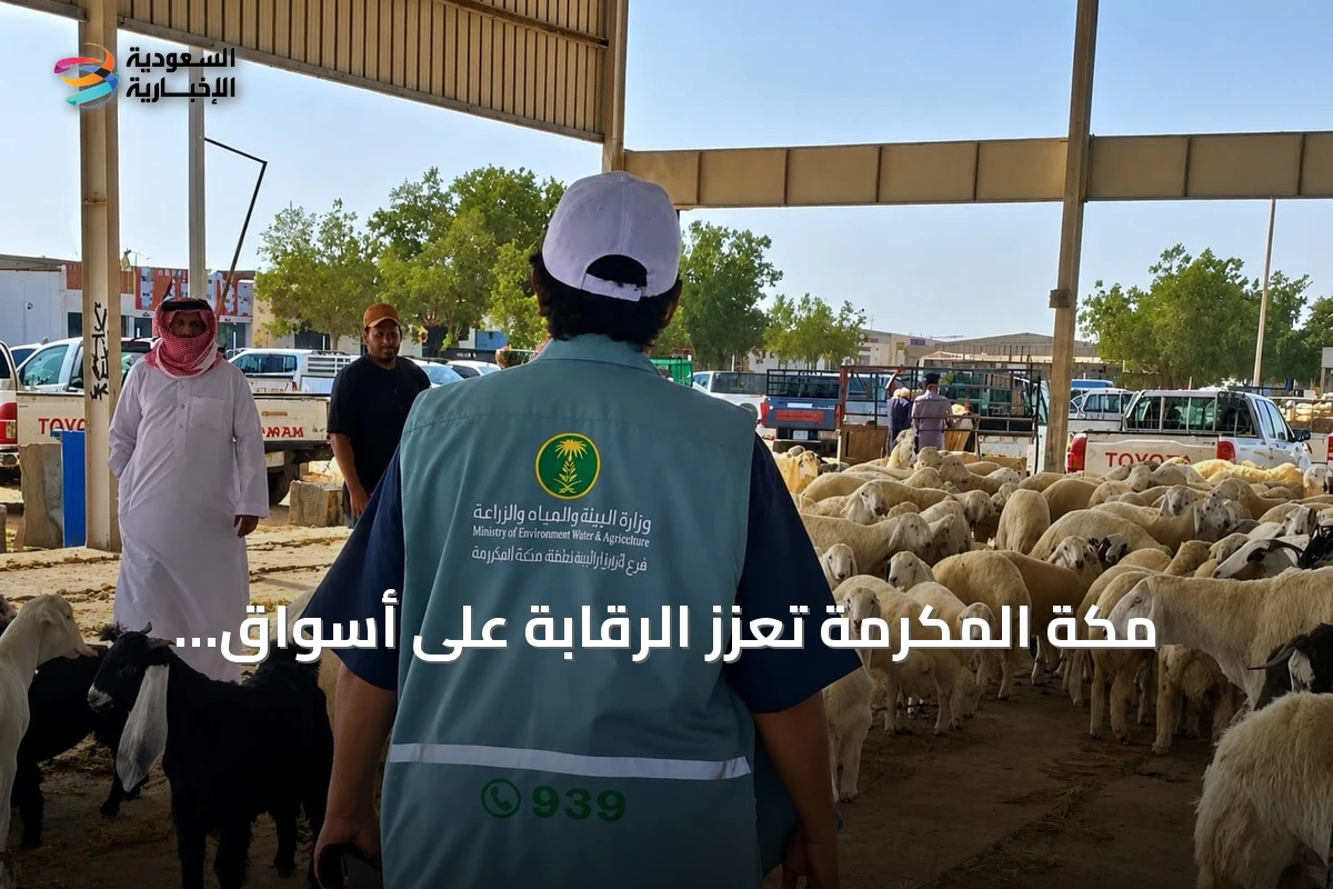 مكة المكرمة تعزز الرقابة على أسواق الماشية لضمان سلامة المستهلك ودعم الأمن الغذائي