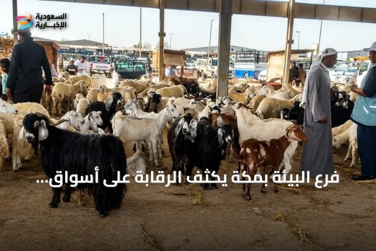 فرع البيئة بمكة يكثف الرقابة على أسواق الماشية ضمن الحملة العاشرة