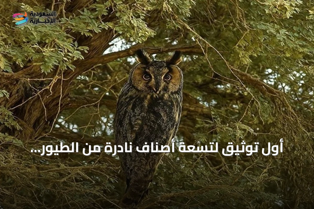 أول توثيق لتسعة أصناف نادرة من الطيور المهاجرة بمحمية الملك عبدالعزيز
