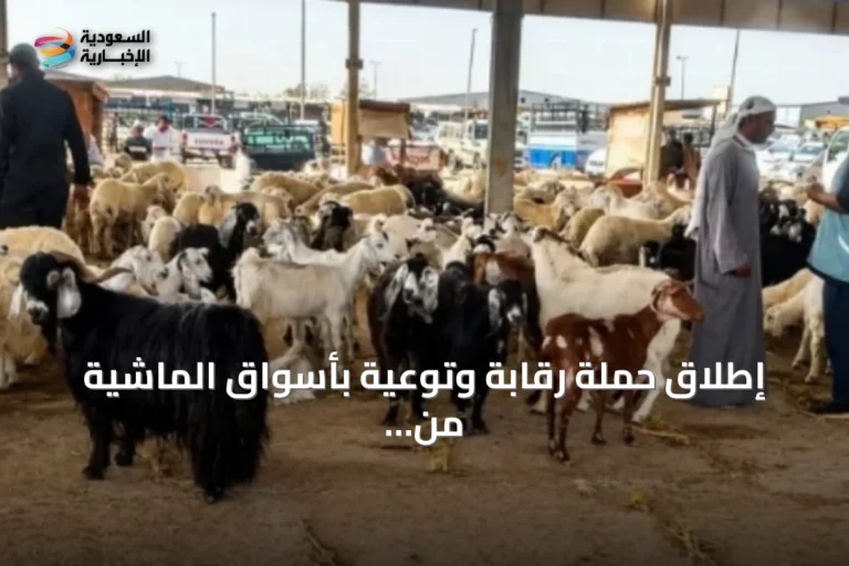 إطلاق حملة رقابة وتوعية بأسواق الماشية من فرع البيئة بالمدينة المنورة