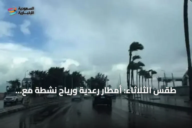 طقس الثلاثاء: أمطار رعدية ورياح نشطة مع ارتفاع درجات الحرارة في مناطق متعددة