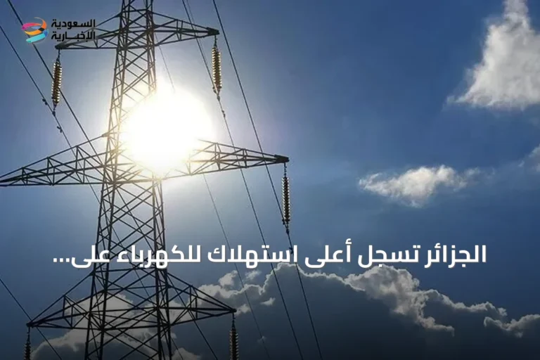 الجزائر تسجل أعلى استهلاك للكهرباء على الإطلاق خلال موجة حر شديدة