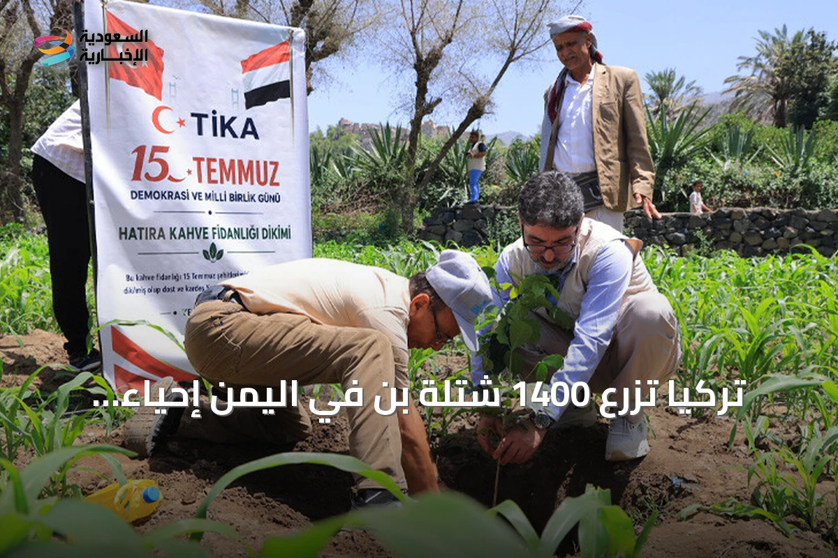 تركيا تزرع 1400 شتلة بن في اليمن إحياء لذكرى ضحايا المحاولة الانقلابية