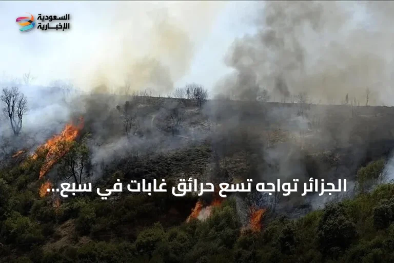 الجزائر تواجه تسع حرائق غابات في سبع ولايات