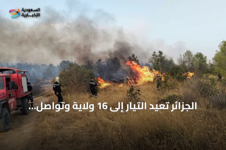 الجزائر تعيد التيار إلى 16 ولاية وتواصل مكافحة 19 حريقا وسط موجة حر
