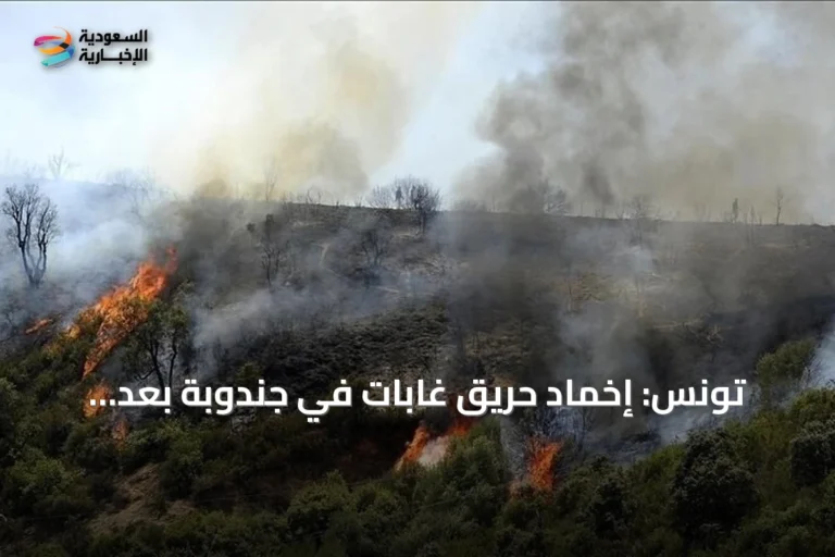 تونس: إخماد حريق غابات في جندوبة بعد تدمير أكثر من 30 هكتاراً