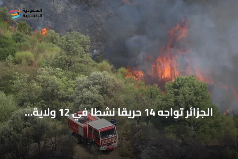 الجزائر تواجه 14 حريقًا نشطًا في 12 ولاية amid درجات حرارة تقترب من 48°