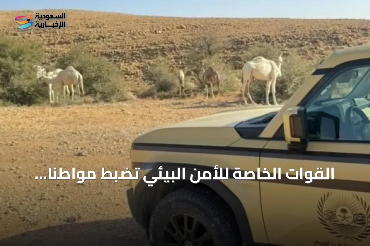 القوات الخاصة للأمن البيئي تضبط مواطنًا لنقل حطب محلي في المدينة المنورة