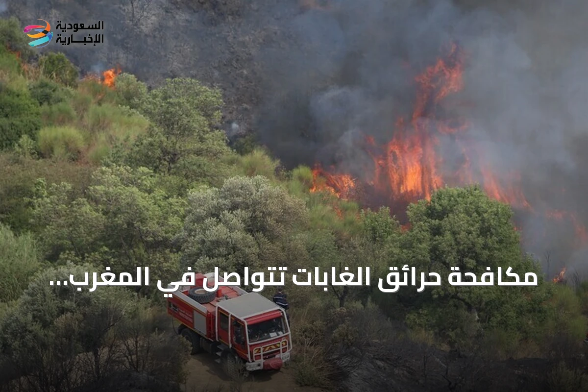 مكافحة حرائق الغابات تتواصل في المغرب لليوم الثاني وتلتهم 14 هكتاراً في الحوز
