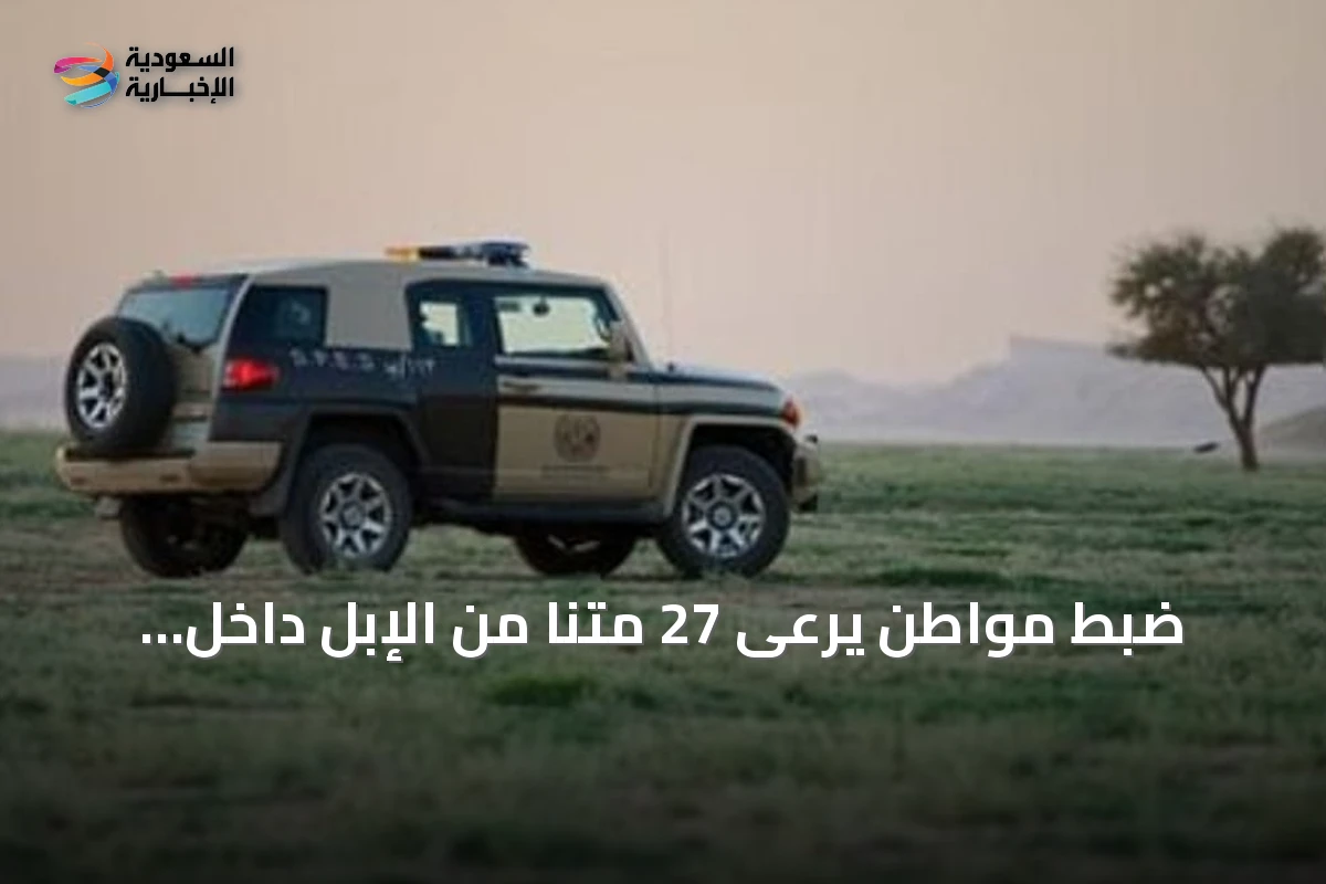 ضبط مواطن يرعى 27 متنًا من الإبل داخل مناطق محظورة بمحمية الإمام تركي بن عبدالله