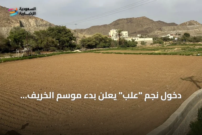 دخول نجم "علب" يعلن بدء موسم الخريف والأمطار في عسير