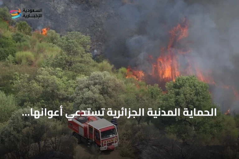 الحماية المدنية الجزائرية تستدعي أعوانها في 45 ولاية بعد تسجيل 111 حريقاً في يوم واحد