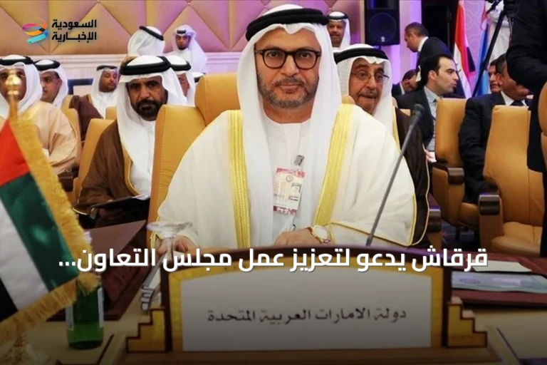 قرقاش يدعو لتعزيز عمل مجلس التعاون الخليجي لضمان الأمن المشترك