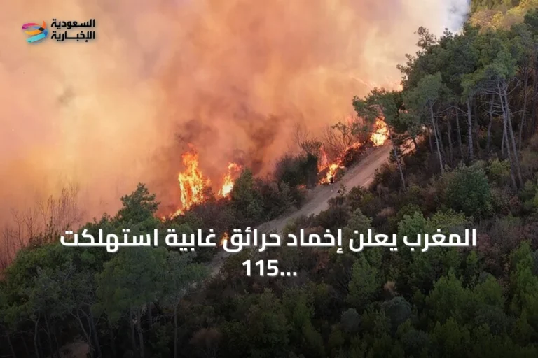 المغرب يعلن إخماد حرائق غابية استهلكت 115 هكتارًا
