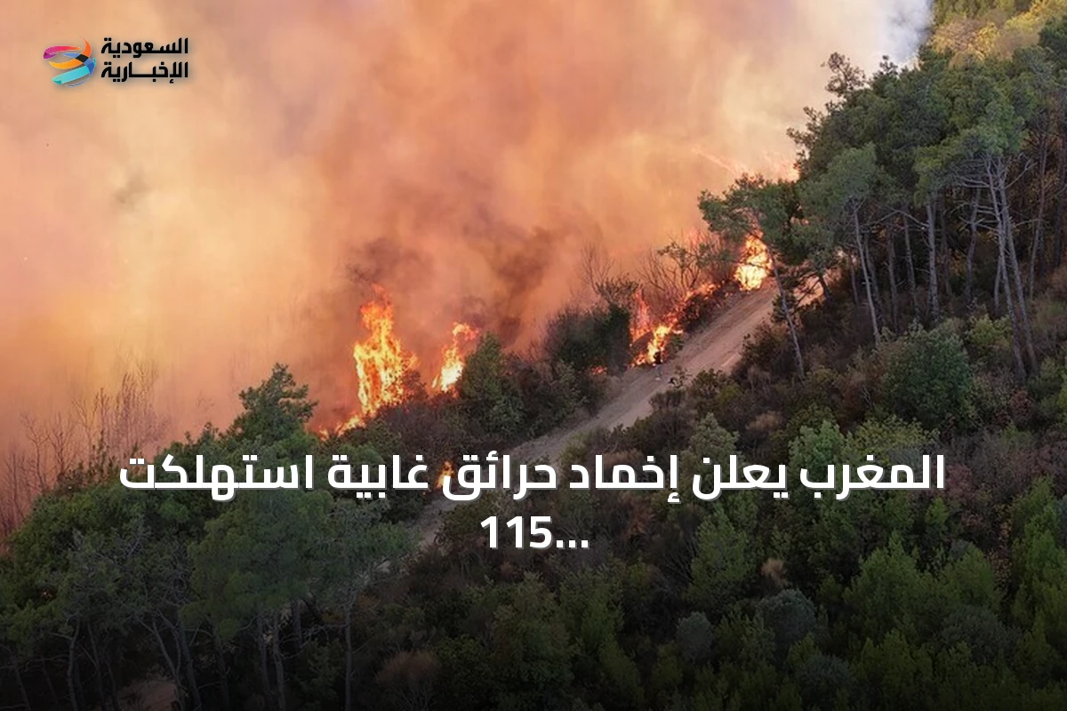 المغرب يعلن إخماد حرائق غابية استهلكت 115 هكتارًا